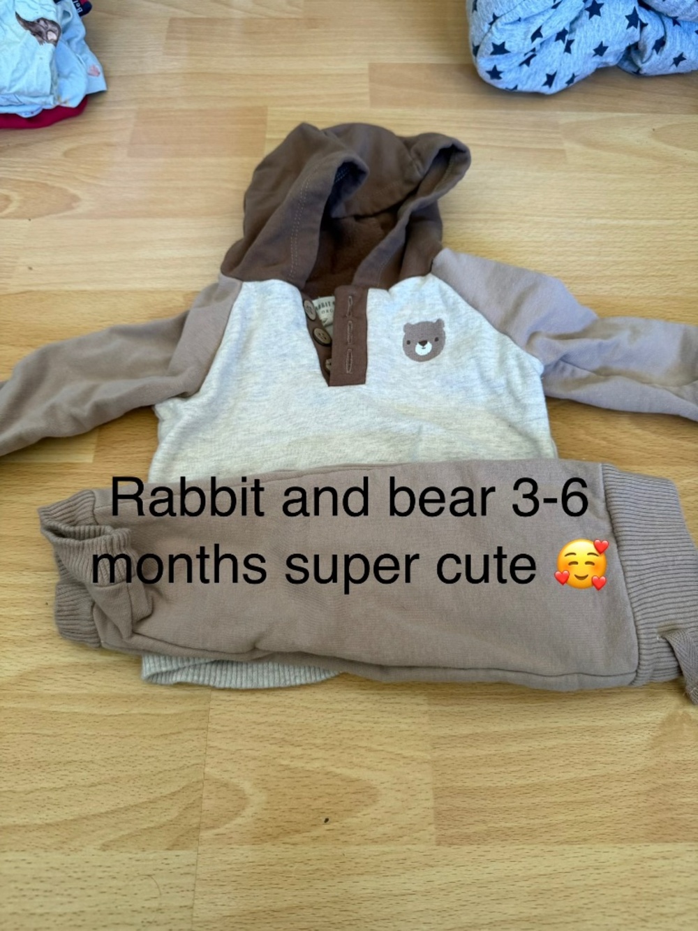 Rabbit and bear